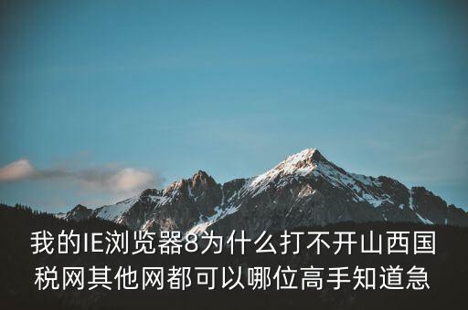 我的IE瀏覽器8為什么打不開山西國稅網其他網都可以哪位高手知道急