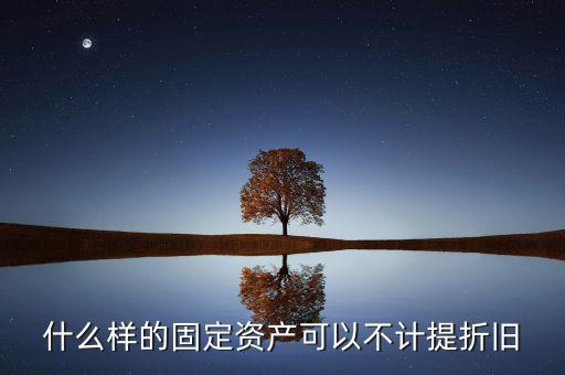 什么樣的固定資產可以不計提折舊