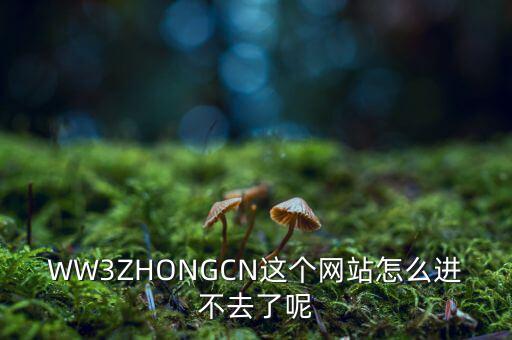 WW3ZHONGCN這個(gè)網(wǎng)站怎么進(jìn)不去了呢