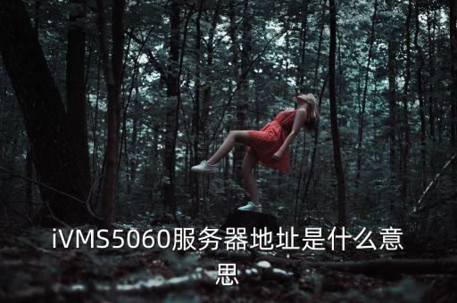 iVMS5060服務(wù)器地址是什么意思