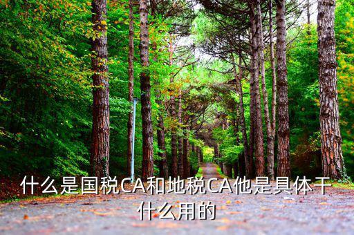 什么是國稅CA和地稅CA他是具體干什么用的