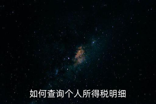 如何查詢個人所得稅明細(xì)