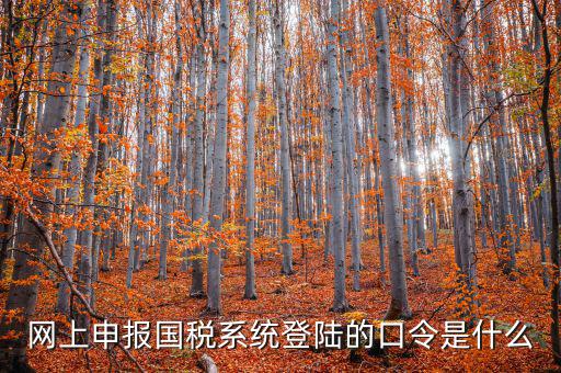 國稅網報口令是什么意思，網上申報國稅系統(tǒng)登陸的口令是什么