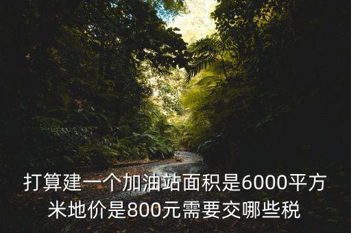 加油站都繳什么稅，打算建一個(gè)加油站面積是6000平方米地價(jià)是800元需要交哪些稅