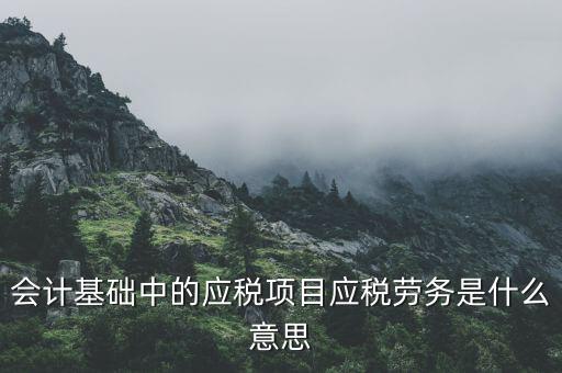 應(yīng)稅是什么意思，會(huì)計(jì)中的應(yīng)稅勞務(wù)是什么意思