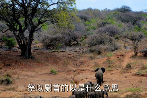 以稅資政什么意思，祭以尉首的以是什么意思