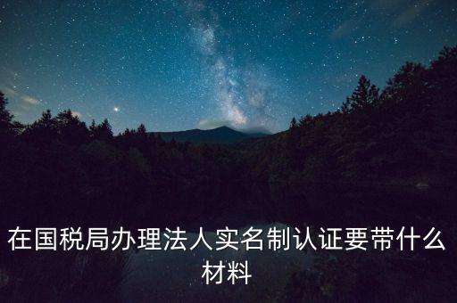 服務(wù)廳實(shí)名辦稅要帶什么，服務(wù)業(yè)辦稅務(wù)登記要些什么證件