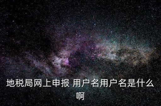 地稅局網(wǎng)上申報 用戶名用戶名是什么啊