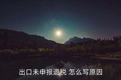 出口未申報退稅 怎么寫原因