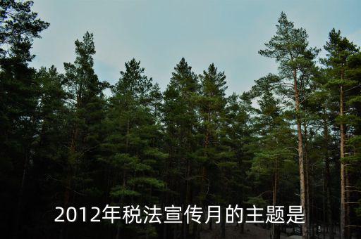 17年稅宣的主題是什么，2013年全國稅收宣傳月主題