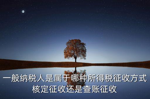 一般納稅人屬于什么，什么是一般納稅人