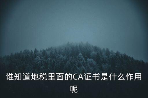 地稅的ca證書是什么，什么是聯(lián)通ca證書地稅ca證書