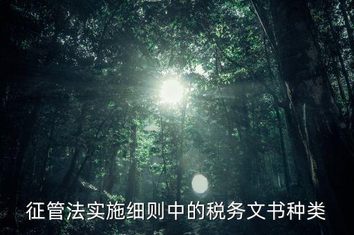 征管法實施細則中的稅務文書種類