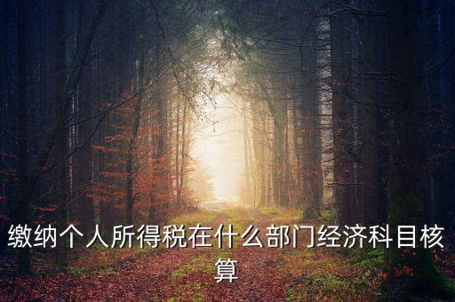 繳納個人所得稅在什么部門經(jīng)濟科目核算