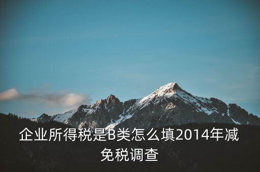 企業(yè)所得稅是B類(lèi)怎么填2014年減免稅調(diào)查