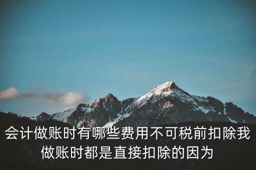 什么不可以稅前扣除嗎，納稅人哪些支出不能在企業(yè)所得稅前扣除