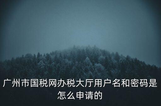 廣州市國稅網辦稅大廳用戶名和密碼是怎么申請的