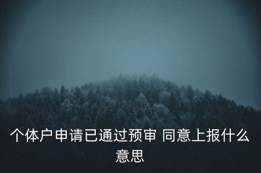 個體戶申請已通過預(yù)審 同意上報什么意思