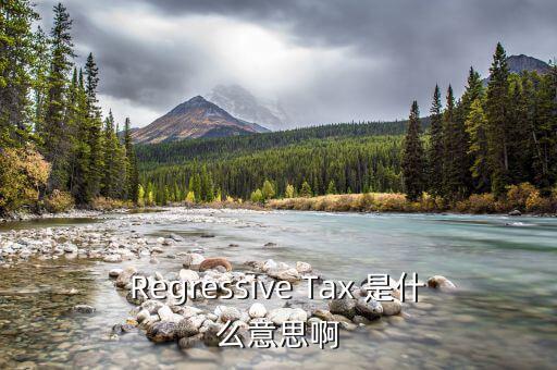 什么是稅收穿透，passthrough taxation是什么意思是直接繳稅嘛