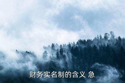 稅務(wù)實(shí)名制是什么意思，財(cái)務(wù)實(shí)名制的含義 急