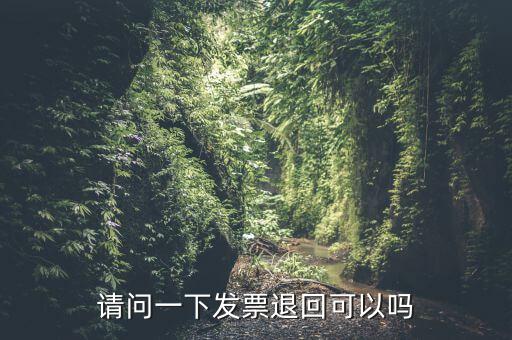 請(qǐng)問一下發(fā)票退回可以嗎