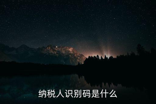 網(wǎng)上報(bào)稅納稅人識(shí)別碼是什么，納稅人識(shí)別碼是什么