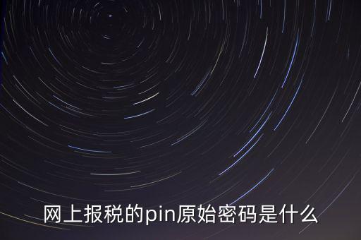 網上報稅的pin原始密碼是什么