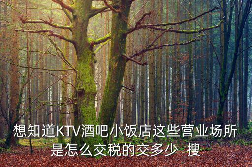 ktv交納什么稅，想知道KTV酒吧小飯店這些營業(yè)場所是怎么交稅的交多少  搜