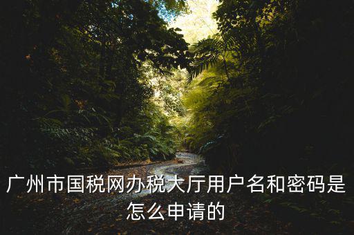 廣州國稅官網(wǎng)登錄密碼是什么原因，國稅第一次網(wǎng)上申報的登陸密碼是什么