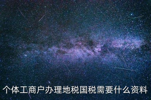 個(gè)體工商戶辦理地稅國(guó)稅需要什么資料