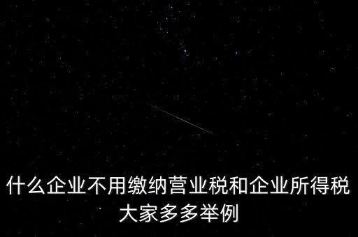 什么企業(yè)不用繳納營(yíng)業(yè)稅和企業(yè)所得稅大家多多舉例