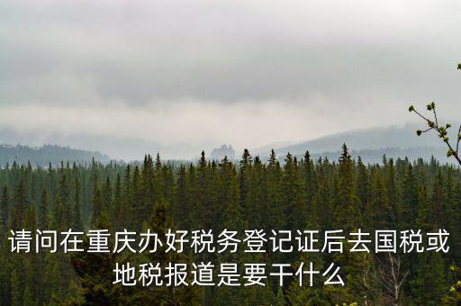 請問在重慶辦好稅務登記證后去國稅或地稅報道是要干什么