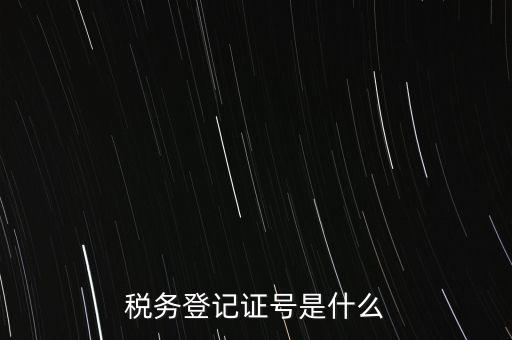 稅務(wù)登記證號是什么