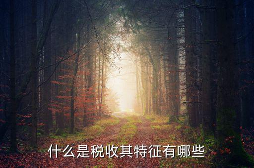 稅收的特點(diǎn)是什么意思，稅收的實(shí)質(zhì)和特征