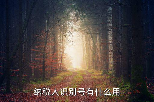 納稅人識別號有什么用