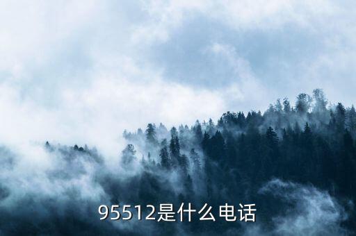 95512是什么電話