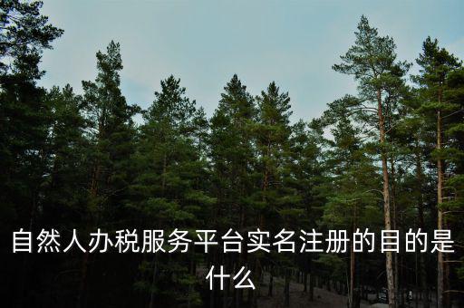 自然人辦稅服務(wù)平臺(tái)實(shí)名注冊(cè)的目的是什么