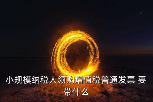 申領普通發(fā)票需要什么，小規(guī)模納稅人領購增值稅普通發(fā)票 要帶什么