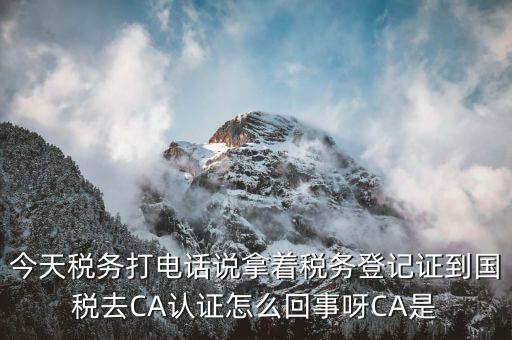 今天稅務(wù)打電話說(shuō)拿著稅務(wù)登記證到國(guó)稅去CA認(rèn)證怎么回事呀CA是