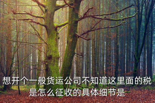 想開個(gè)一般貨運(yùn)公司不知道這里面的稅是怎么征收的具體細(xì)節(jié)是