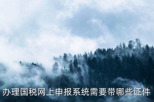 辦理國(guó)稅網(wǎng)上申報(bào)系統(tǒng)需要帶哪些證件