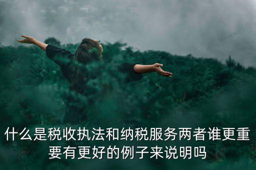 什么是稅收?qǐng)?zhí)法和納稅服務(wù)兩者誰(shuí)更重要有更好的例子來(lái)說(shuō)明嗎