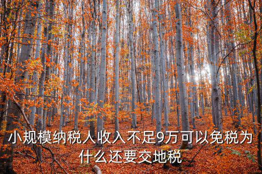 為什么納地稅，為什么要規(guī)定納稅地點(diǎn)