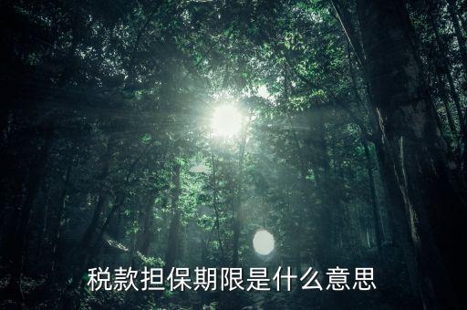 納稅擔保人什么意思，稅款擔保期限是什么意思