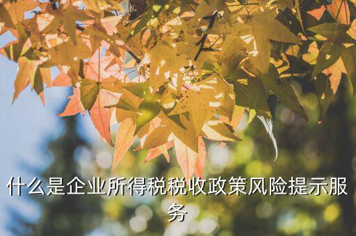 什么是企業(yè)所得稅稅收政策風(fēng)險(xiǎn)提示服務(wù)