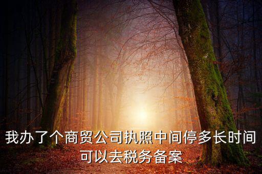 我辦了個(gè)商貿(mào)公司執(zhí)照中間停多長(zhǎng)時(shí)間可以去稅務(wù)備案