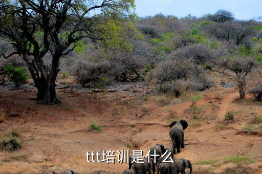 納稅人學堂培訓干什么，去各種培訓班做老師有前途么