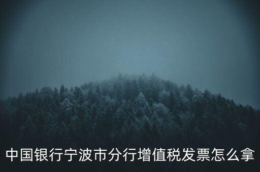 寧波國(guó)稅過(guò)發(fā)票要帶什么，浙江地區(qū)公司首次拿發(fā)票去國(guó)稅局需要帶什么證件