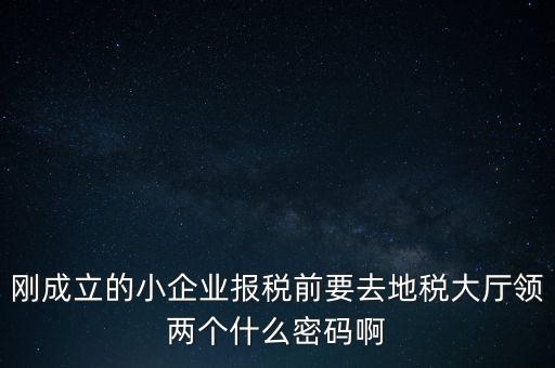 繳稅服務廳口令輸什么，剛成立的小企業(yè)報稅前要去地稅大廳領兩個什么密碼啊