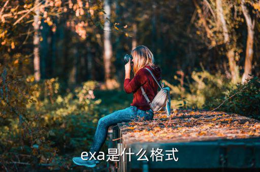 exa是什么格式